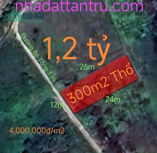 🎯Bán lô đất thổ Bình Tịnh xây biệt thự vườn giá 1,2 tỷ