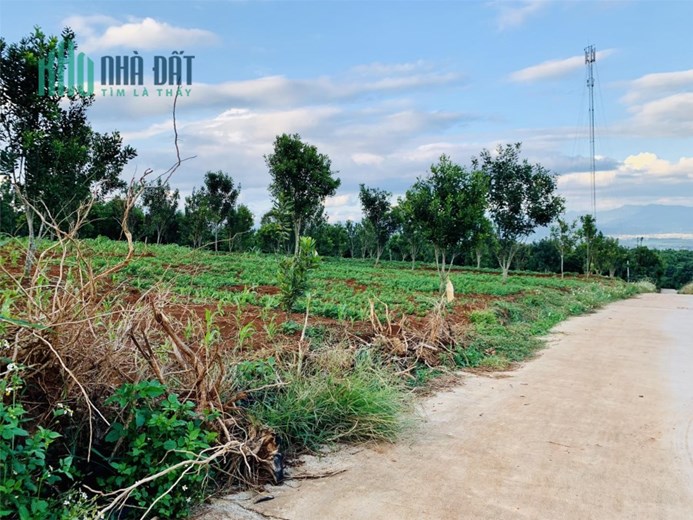 ĐẤT CHÍNH CHỦ - GIÁ TỐT – ĐẤT VEIW  ĐẸP - Cần Bán Nhanh Tại Xã Tân Hà, Huyện Lâm Hà, Tỉnh Lâm Đồng