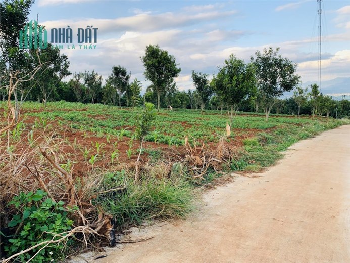 ĐẤT CHÍNH CHỦ - GIÁ TỐT – ĐẤT VEIW  ĐẸP - Cần Bán Nhanh Tại Xã Tân Hà, Huyện Lâm Hà, Tỉnh Lâm Đồng