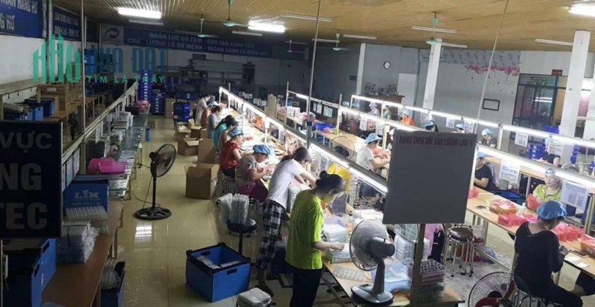 CẦN BÁN HOẶC CHO THUÊ NHANH Đất Và Nhà Xưởng Thanh Ba, Phú Thọ