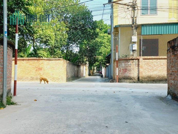 Chuyển Nhượng Lô Đất Đẹp Đẹp tại Đan Tảo, Tân Minh, Sóc Sơn, Hà Nội