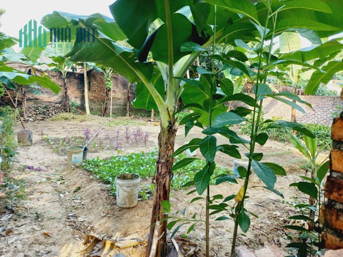 Chuyển Nhượng Lô Đất Đẹp Đẹp tại Đan Tảo, Tân Minh, Sóc Sơn, Hà Nội