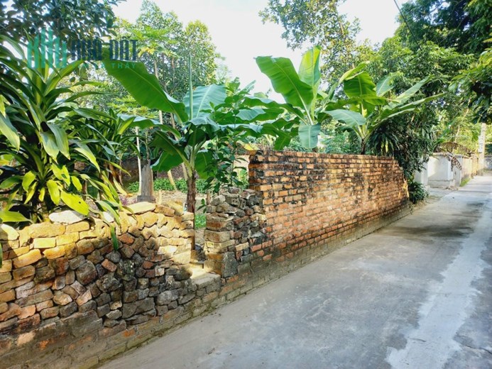 Chuyển Nhượng Lô Đất Đẹp Đẹp tại Đan Tảo, Tân Minh, Sóc Sơn, Hà Nội