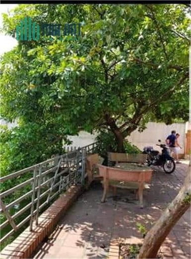 Gia Đình cần bán 477m2 tại Ngô Đạo Thượng- Tân Hưng- Sóc Sơn-Hà Nội. Sẵn Nhà, Ao, vườn ...