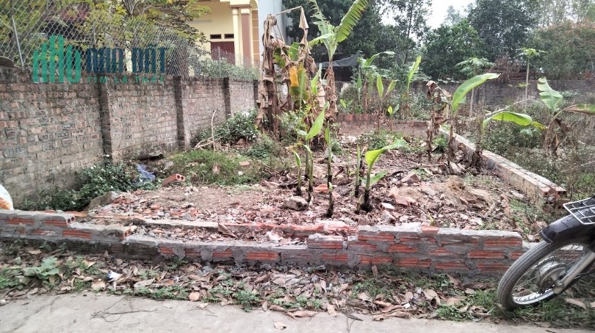 ( Hoa Hậu Làng)61m đất Lập Trí-  Minh Trí- Sóc Sơn, mặt tiền 5m, oto vào đất. Giá từ 600tr