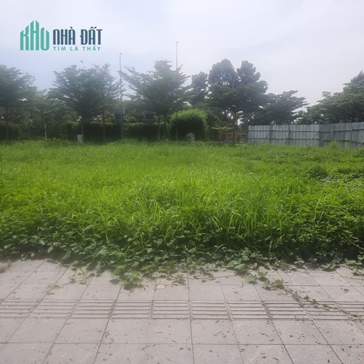KHÔNG NÊN MUA BDS  KHI CHƯA BIẾT THÔNG TIN NÀY