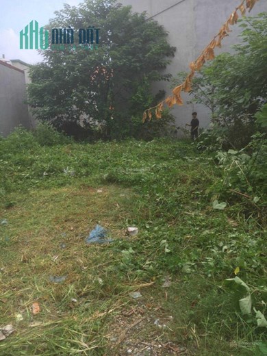 Bán đất dịch vụ tổ 5 thị trấn Quang Minh, Mê Linh, diện tích 94.5m2, đường 2 ô tô tránh nhau