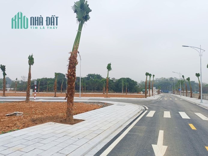 Bán đất nền dự án việt trì spring city giá chỉ 19tr/m2
