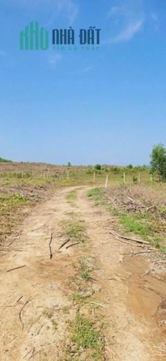 Bán nhanh 2000m2 Diên Xuân - Diên Khánh - Ngang 24m - Đường otô - Sổ Đỏ Giá Cực Rẻ 530tr