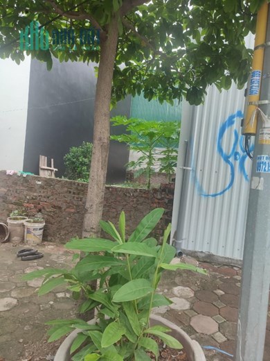 BÁN 120m2 ĐẤT HỒ TÙNG MẬU, MẶT TIỀN 11,5M, THỬA VUÔNG CHIA LÔ+CCMN, GIÁ 12.5 TỶ