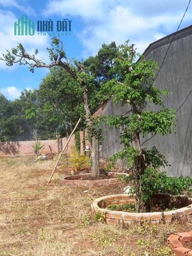 Chính Chủ Cần Bán Đất Mặt Tiền 86 Lê Văn Hưu – Vị Trí Đẹp.
