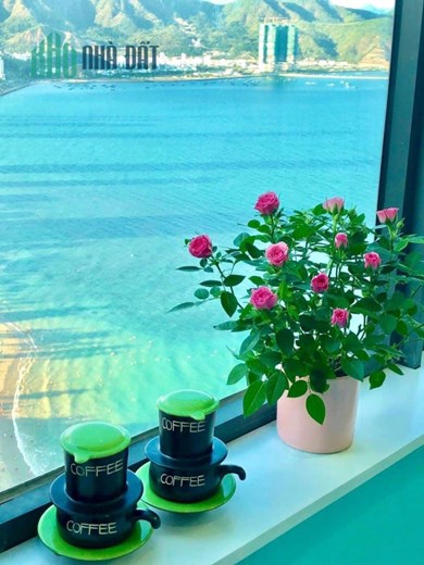 Bán Căn hộ Mường Thanh Viễn Triều, Nha Trang SIÊU ĐẸP - GIÁ RẺ ĐỘC NHẤT VÔ NHỊ