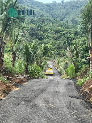 CHÍNH CHỦ CẦN BÁN NHANH  Hơn 2 Ha View Đồi  Suối Lớn Tại Cưjut-Đaknong.