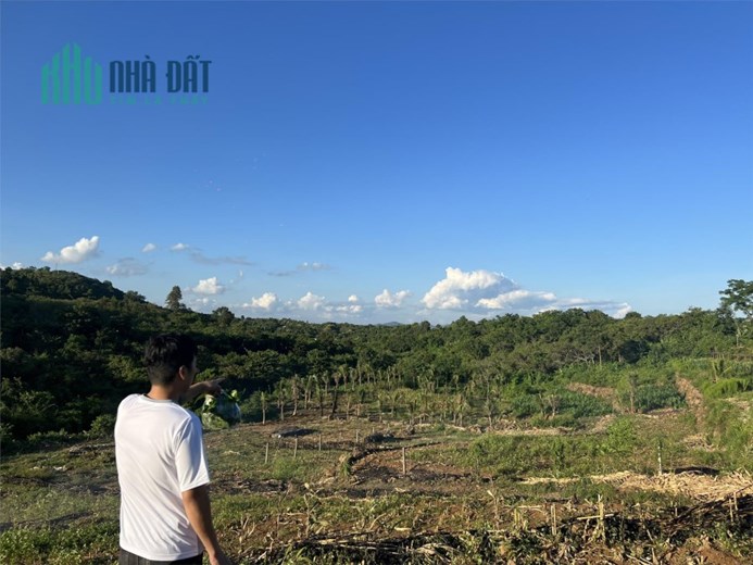 CHÍNH CHỦ CẦN BÁN NHANH  Hơn 2 Ha View Đồi  Suối Lớn Tại Cưjut-Đaknong.