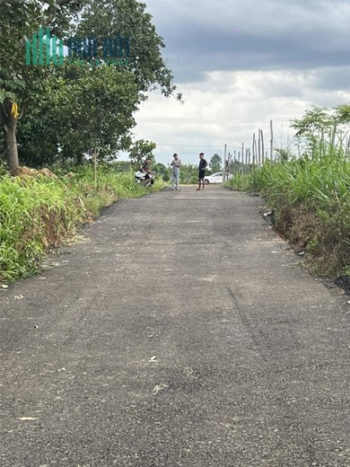 CHÍNH CHỦ CẦN BÁN NHANH  Hơn 2 Ha View Đồi  Suối Lớn Tại Cưjut-Đaknong.