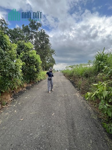 CHÍNH CHỦ CẦN BÁN NHANH  Hơn 2 Ha View Đồi  Suối Lớn Tại Cưjut-Đaknong.