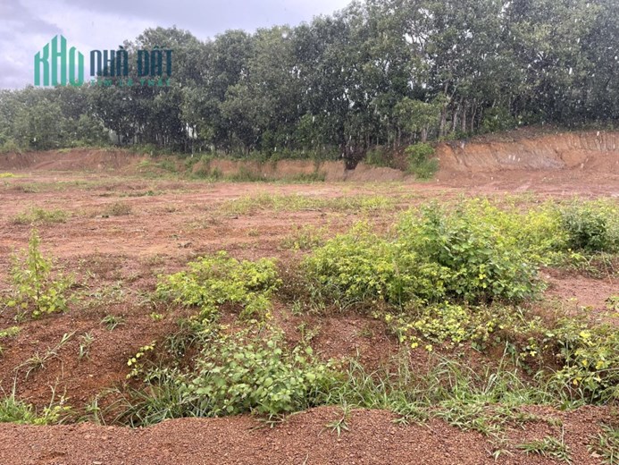 Ông chú tôi bể nát miếng đất thổ cư 500m2 giá 259 triệu sổ sẵn
