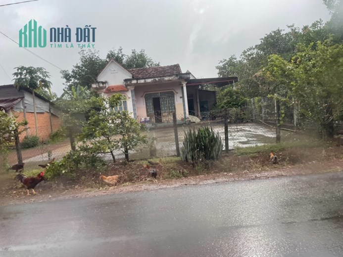 Ông chú tôi bể nát miếng đất thổ cư 500m2 giá 259 triệu sổ sẵn