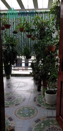 Chính chủ cần bán gấp căn nhà tại phố Phùng Chí Kiên, phường Tân Bình, TPHải Dương.