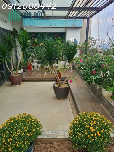 Penthouse Vinaconex 136 Hồ Tùng Mậu giá công khai 7.X tỷ thiết kế 2 tầng . Diện tích 209m2,