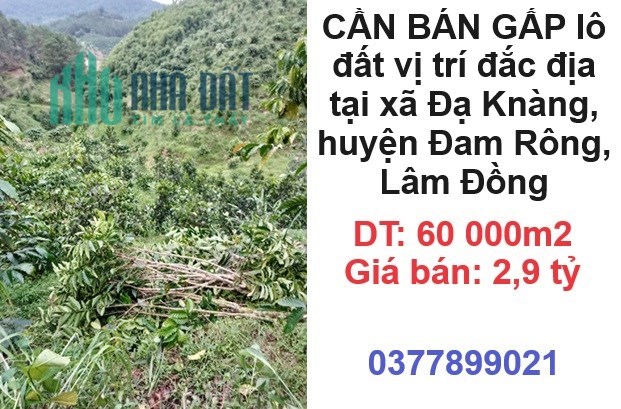 ⭐CẦN BÁN GẤP lô đất vị trí đắc địa tại xã Đạ Knàng, huyện Đam Rông, Lâm Đồng; 2,9 tỷ; 0377899021