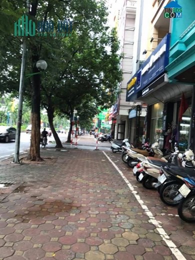 Bán Nhà Trung Tâm Cầu Giấy, Ô TÔ Đỗ Cửa, Diện Tích 42m2, 5 Tầng Mới Cứng Hiện Đại, Chỉ Nhỉnh 5 tỷ.