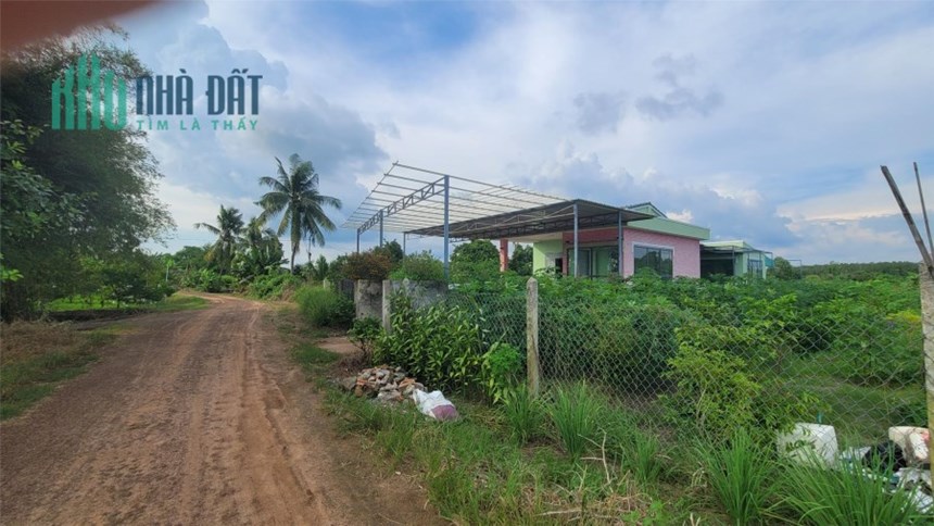 ĐẤT CHÍNH CHỦ - MẶT TIỀN - Vị Trí Đẹp Tại Ấp Tân Trung B, Xã Tân Hưng, Tân Châu, Tây Ninh