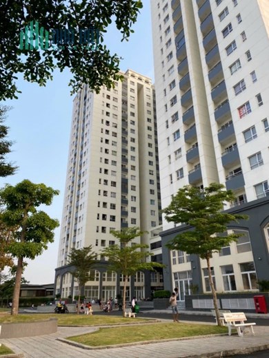 Cho thuê Căn hộ Mới 62m2 Dream Home Palace Quận 8