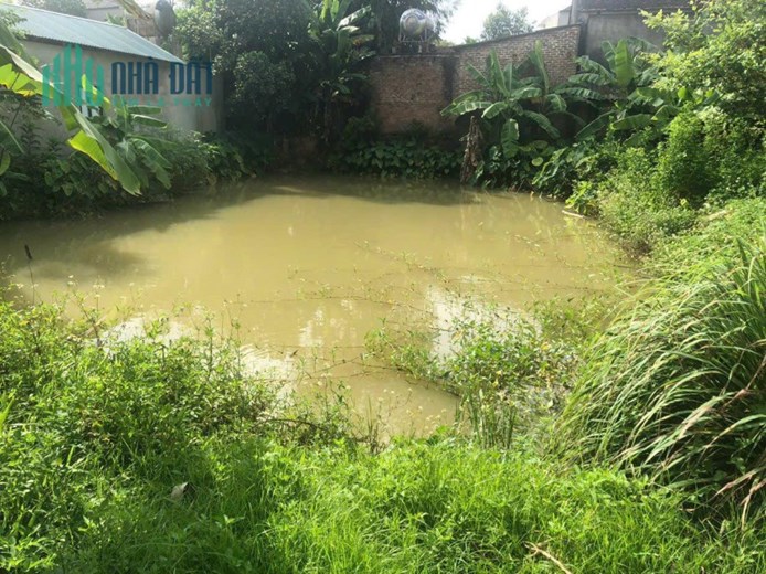 Chính Chủ Chuyển Nhượng Lô Đất Cực Kỳ Đẹp tại Xuân Dục, Tân Minh, Sóc Sơn, Hà Nội.