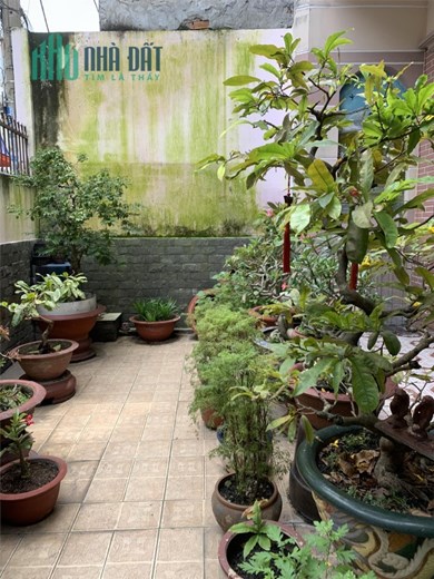 + CHỈ 5.9TỶ TL-Nhà Sân Vườn (7x19m)DT: 120m2-Hẻm Thông, gần Mặt Tiền - Chính Chủ