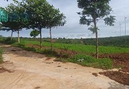 bán đất vườn ChưPRong Gia lai 1000m giá 260tr Sổ Hồng Riêng