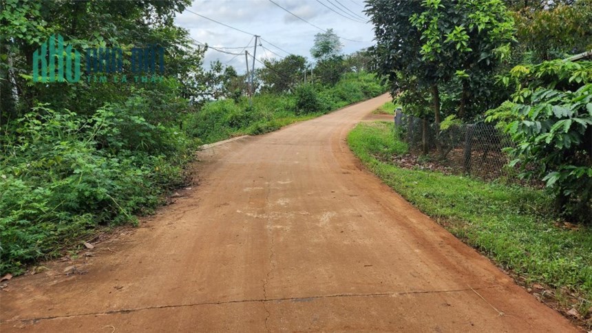 1,7ha - 160 sầu riêng đang thu xen cafe thu mạnh - Hoàng Trang BĐS - Đất ngộp Đắk Nông