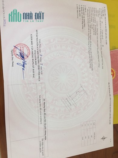 Bán đất mặt phố Nguyễn Tri Phương, Liên Bảo. DT 115m2