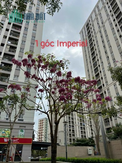 Bán Chung cư IMPERIAL PLACE GIÁ RẺ - ĐẦY ĐỦ TIỆN ÍCH tại Bình Tân. Giá 1.6 tỷ. Thuê từ 6tr/th
