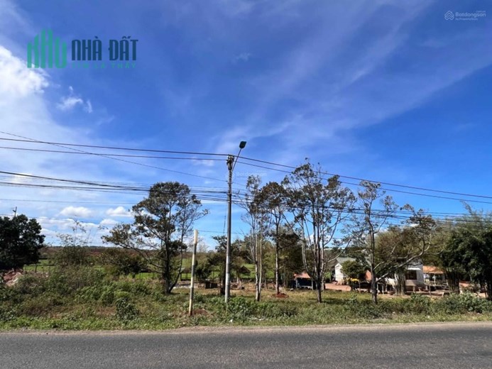 Chính chủ bán nhanh mảnh đất cực đẹp, siêu hiếm giá rẻ tại Ngô Quyền, xã Trà Đa, thành phố Plei Ku