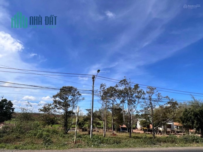 Chính chủ bán nhanh mảnh đất cực đẹp, siêu hiếm giá rẻ tại Ngô Quyền, xã Trà Đa, thành phố Plei Ku
