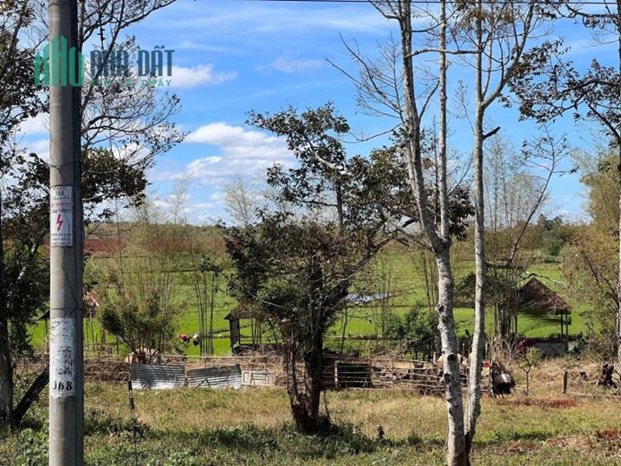 Chính chủ bán nhanh mảnh đất cực đẹp, siêu hiếm giá rẻ tại Ngô Quyền, xã Trà Đa, thành phố Plei Ku