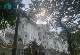 Bán Biệt Thự Quận 7 siêu đẹp ,4 lầu chỉ 24,2 tỷ