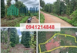 ⭐Bán 12+1 lô đất, DT 1100m2/lô giá hạt dẻ 250tr/lô, mặt đường bê tông, bao phí sang tên sổ hồng