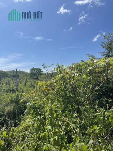 ĐẤT ĐẸP - GIÁ TỐT Cần Bán Nhanh Lô Đất Mặt Tiền Tại Xã Bình An Bắc Bình, Bình Thuận
