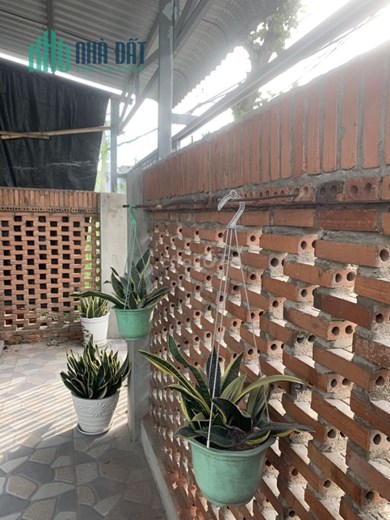 *** ĐẤT VƯỜN TẠI XÃ AN THỚI ĐÔNG ĐƯỜNG TAM THÔN HIỆP, HUYỆN CẦN GIỜ ***
