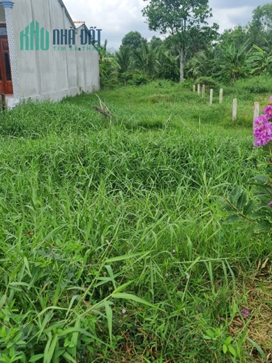 Bán gấp lô đất thổ mặt tiền nhựa Cầu Quây giá 2,1 tỷ