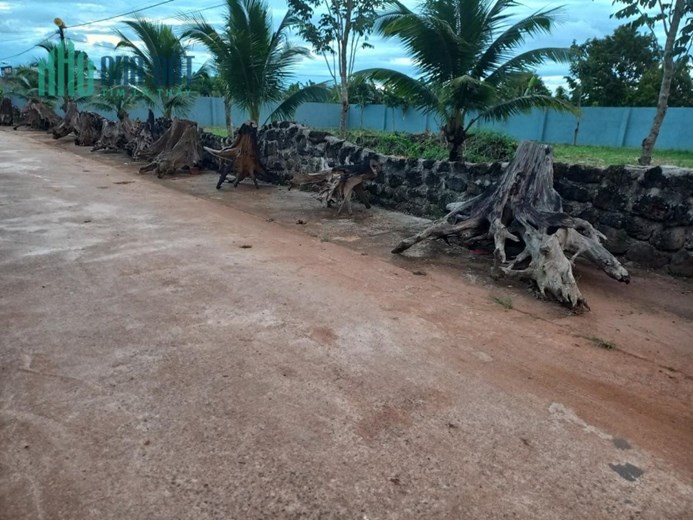 ĐẤT ĐẸP - GIÁ TỐT CHÍNH CHỦ Cần Bán Nhanh Lô Đất Đẹp Tại Xã eana , Krông Ana  Đắk Lắk