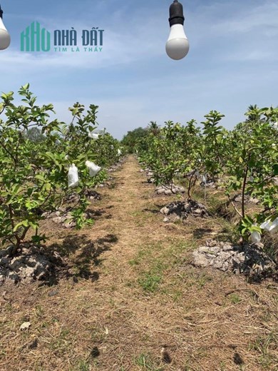 CHÍNH CHỦ CẦN SANG NHƯỢNG NHANH FRAM Tại Thủ Đức, HCM
