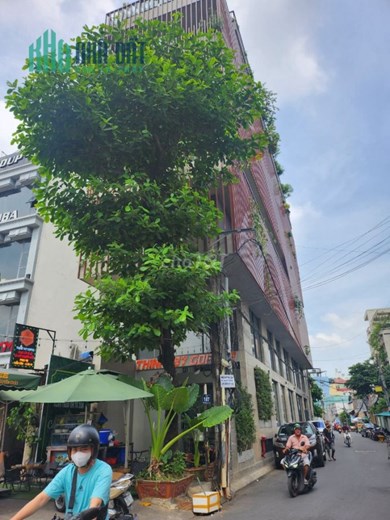 Tòa nhà 7 tầng góc 2MT Bạch Đằng, ngay sân bay TSN