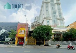 BIỆT THỰ MẶT TIỀN ĐƯỜNG 20M TÂN SƠN NHÌ. DT 8X33. 5 TẤM. GIÁ 50TỶ