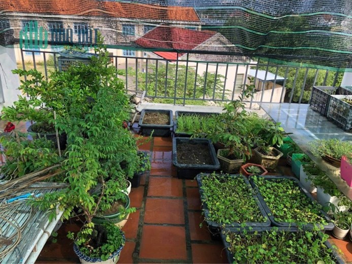 Bán nhà 2 tầng sát trường THCS Lương Thế Vinh Vĩnh Thạnh