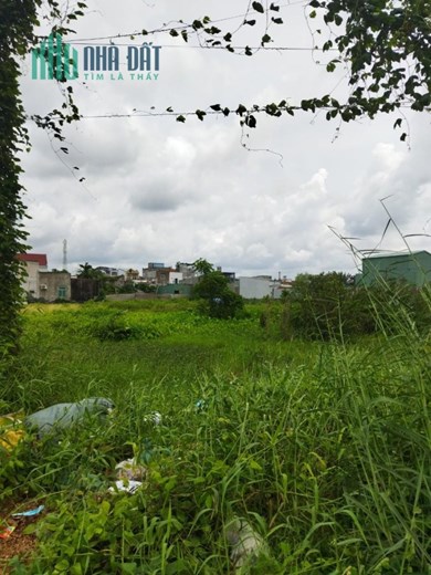 Bán Đất Đầu Tư giá 4 triệu 1m2 Đông Thạnh Hóc Môn