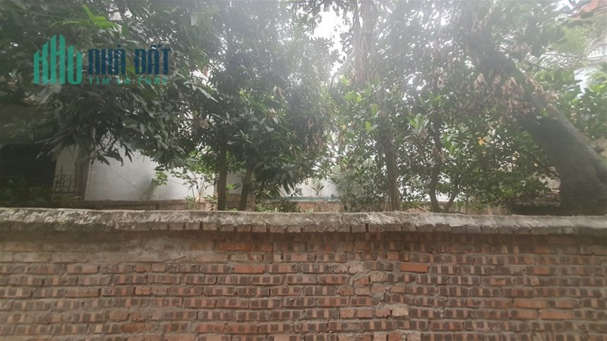 Bán Đất Phố Võng Thị Quận Tây Hồ. 404m Mặt Tiền 11m Nhỉnh 50 Tỷ. Cam Kết Ảnh Thật Mô Tả Chính Xác.