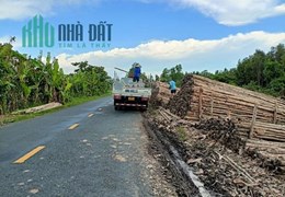 CHÍNH CHỦ CẦN BÁN 6,14 HÉC TA ĐẤT RỪNG TRÀM ĐANG KHAI THÁC TẠI U MINH.